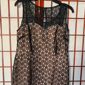 Ann Taylor by Loft Satin Eyelet Dress